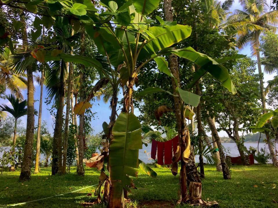 Ashtamudi Villa Kollam Extérieur photo